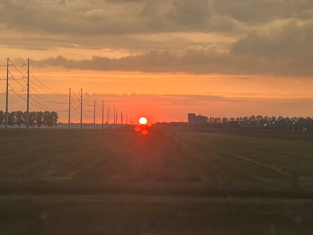 Summer views