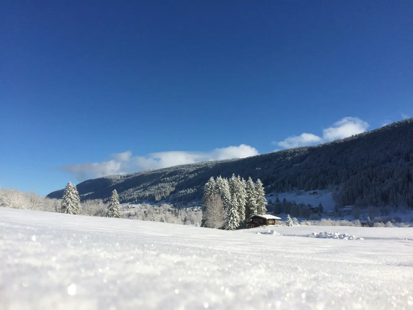 Ontdek Aarau