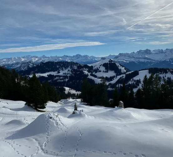 Winter sports at Rigi